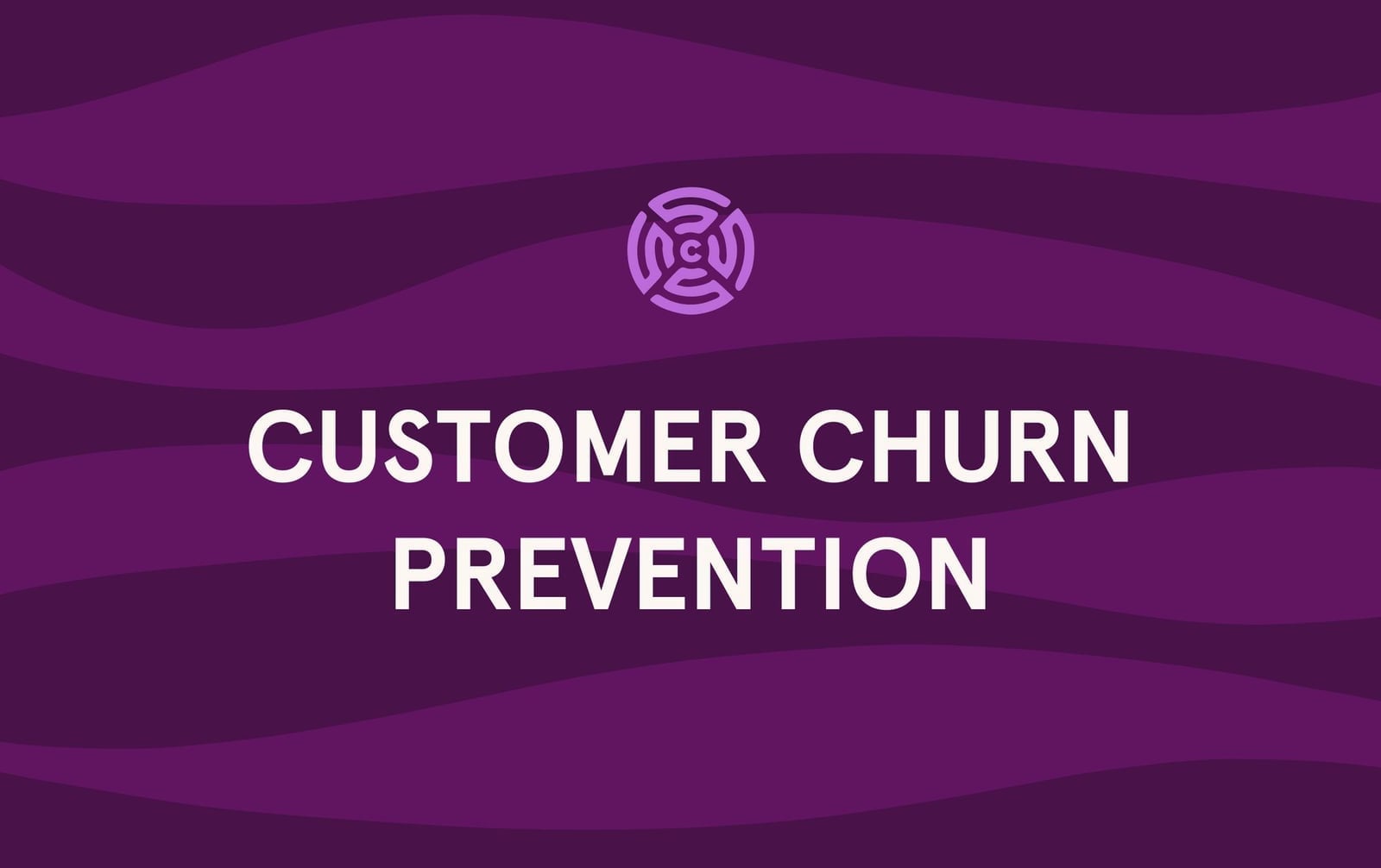 Your Guide to Customer Churn Prevention